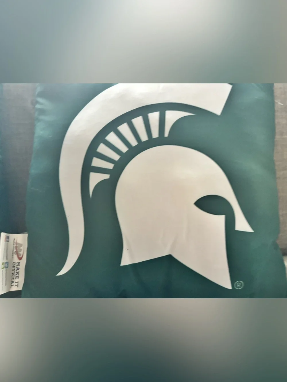 Green and White Spartan Logo Throw Pillows (Pair)